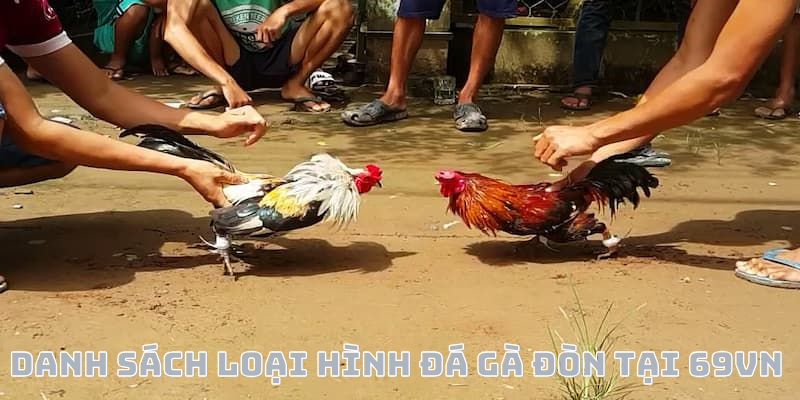 Danh sách loại hình đá gà đòn trực tiếp hiện nay